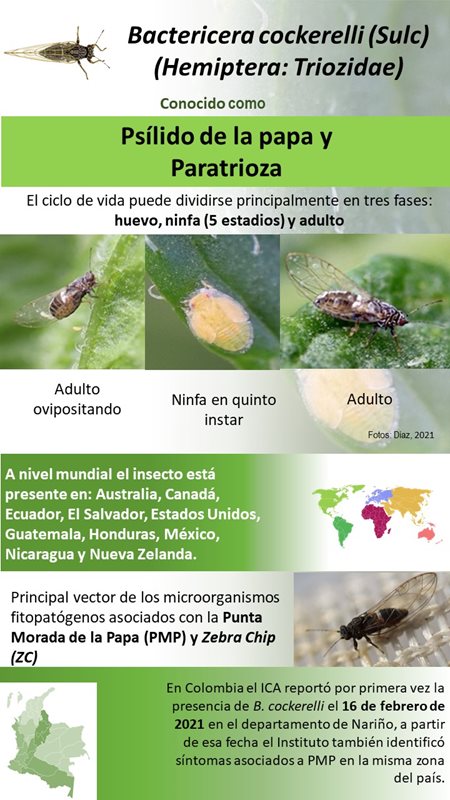 infografia-1