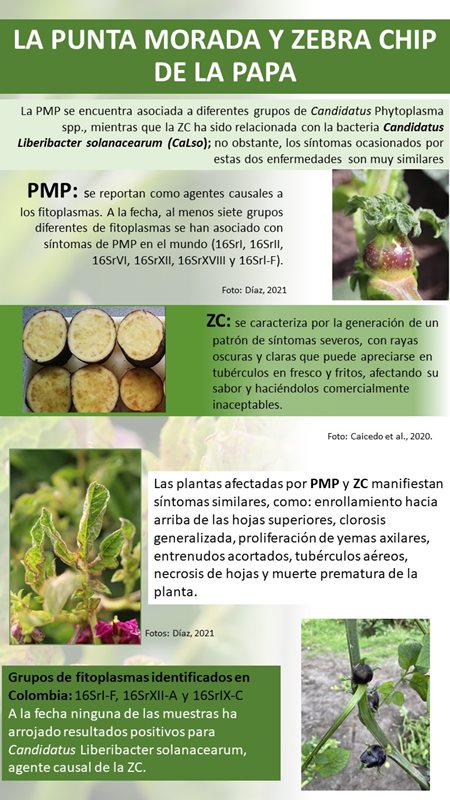 infografia-2 infografia-2