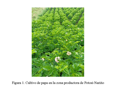 posori-narino-1.png posori-narino-1.png