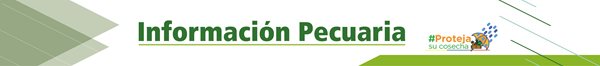 pecuaria.jpg