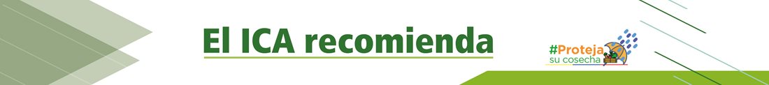 recomiend.jpg