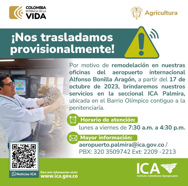 Nos trasladamos provisionalmente