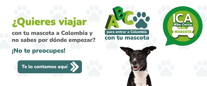 BANNER-INGRESO-MASCOTAS.jpg