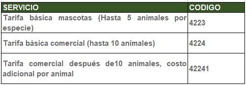 codigos.jpg codigos.jpg