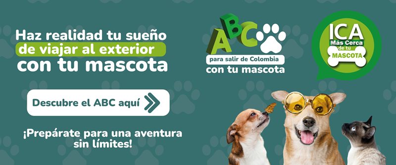 BANNER-SALIDA-MASCOTAS.jpg