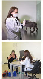 veterinario.png