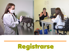 REGISTRO DE MV – MVZ