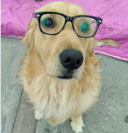 molly-modelo-2.png molly-modelo-2.png