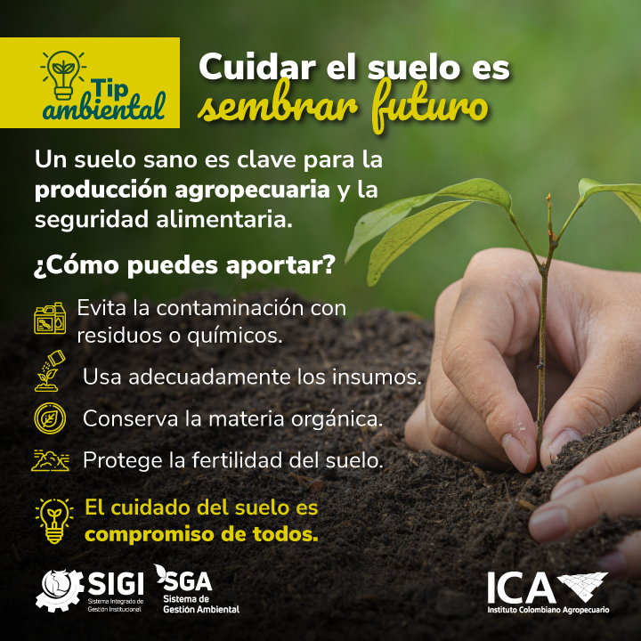 10-04-26-TIPS-AMBIENTALES-SUELO.jpg
