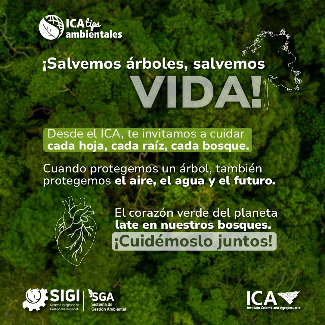 WhatsApp-Image-2025-05-28-at-1-05-11-PM.jpeg WhatsApp-Image-2025-05-28-at-1-05-11-PM.jpeg