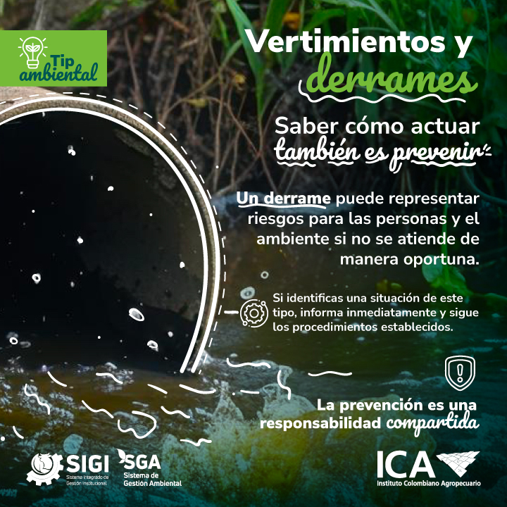 21-07-26-tips-ambientales-Agosto-4.jpg