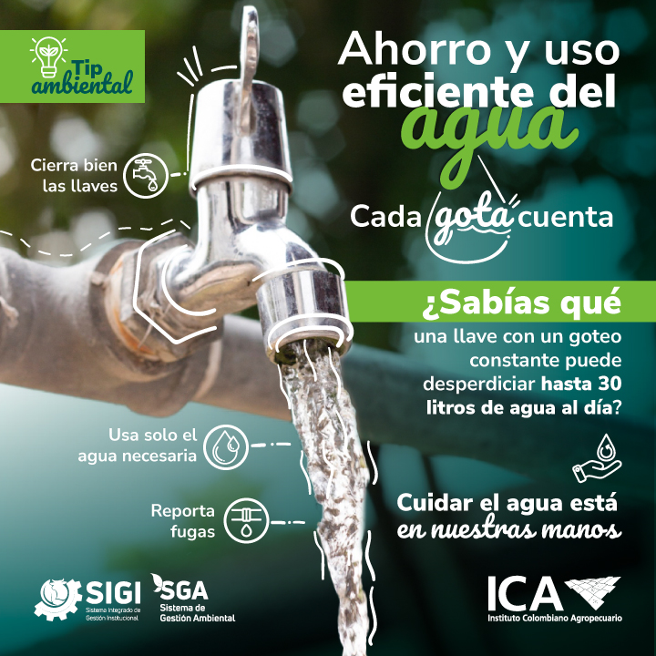 21-07-26-tips-ambientales-Agosto.jpg