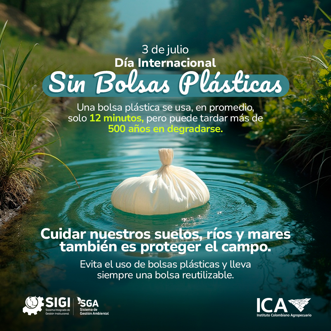 DIA-SIN-BOLSA.jpg DIA-SIN-BOLSA.jpg