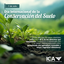 Dia-Internacional-de-la-Conservacion-del-Suelo-Interna.png