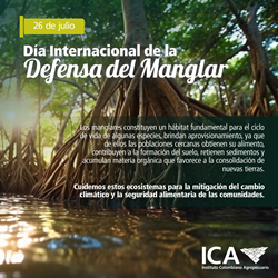 Dia-Internacional-de-la-Defensa-del-Manglar-Interna.png