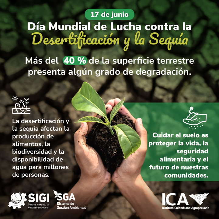 12-06-26-fechas-especiales-junio-17.jpg