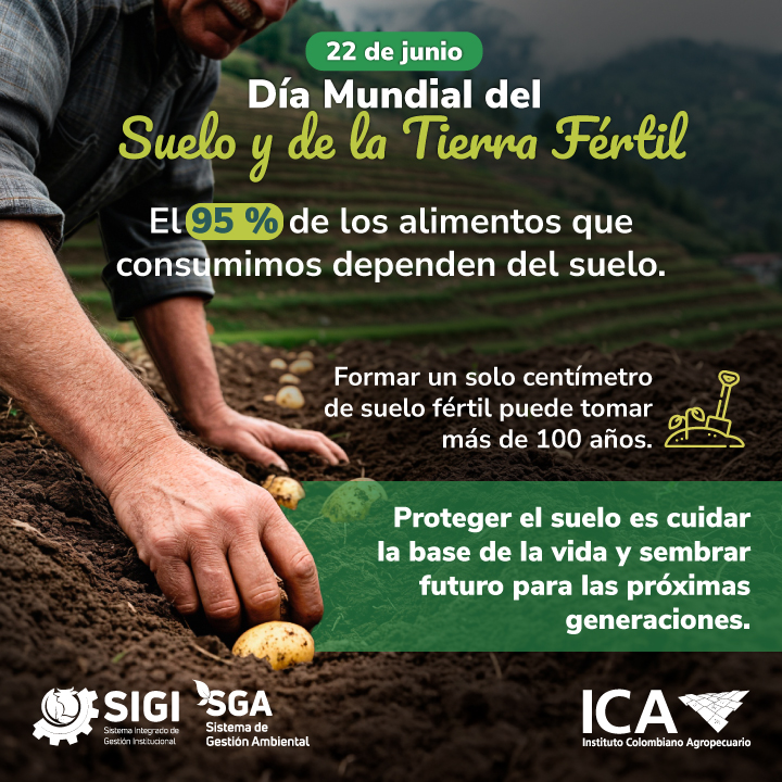12-06-26-fechas-especiales-junio-22.jpg