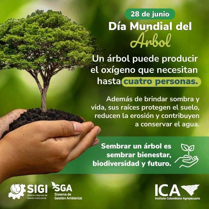 12-06-26-fechas-especiales-junio-28.jpg