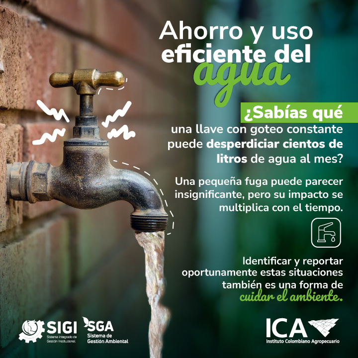 12-06-26-tips-ambientales-Junio.jpg