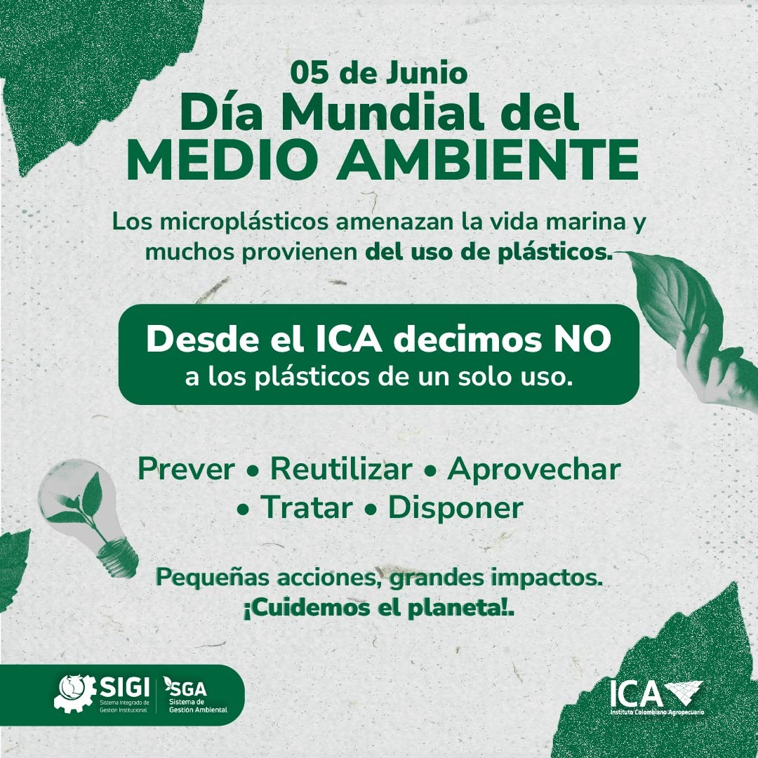Dia-Mundial-del-Medio-Ambiente.jpeg