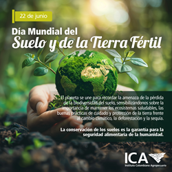 Dia-mundial-del-suelo-y-la-tierra-fertil-Interna-1.png
