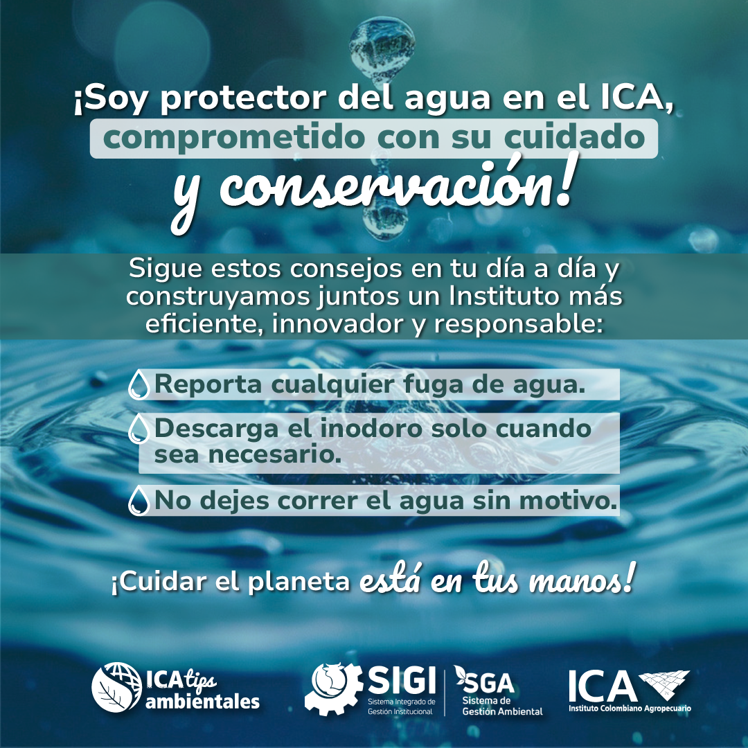 Tips-agua-1.png