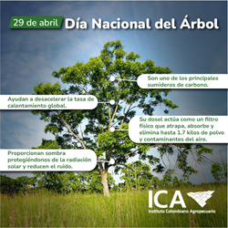 Dia-del-arbol.png