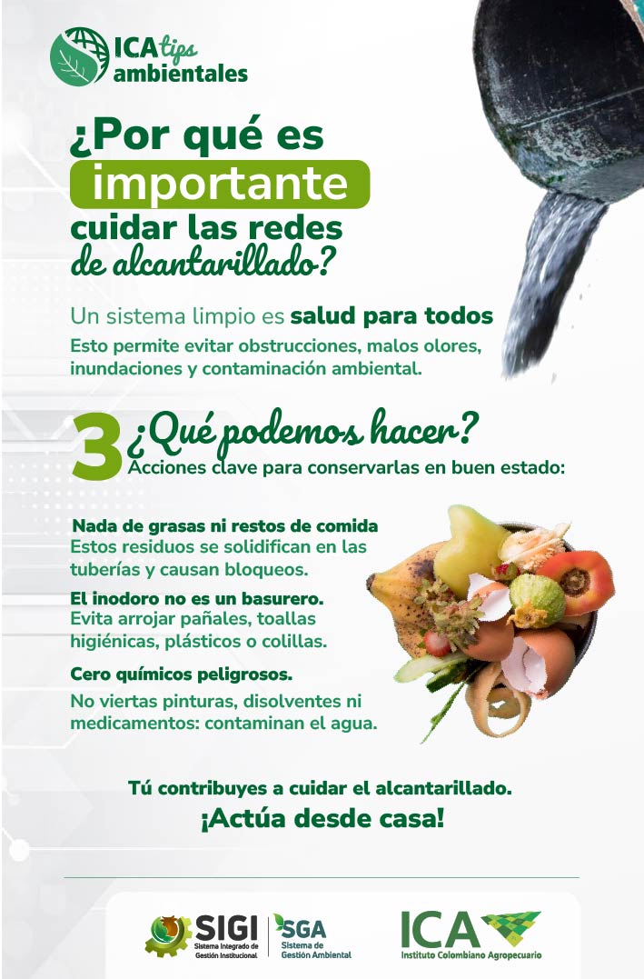 Pieza-EcologICA-Redes-de-Alcantarillado-01-01-01.jpg