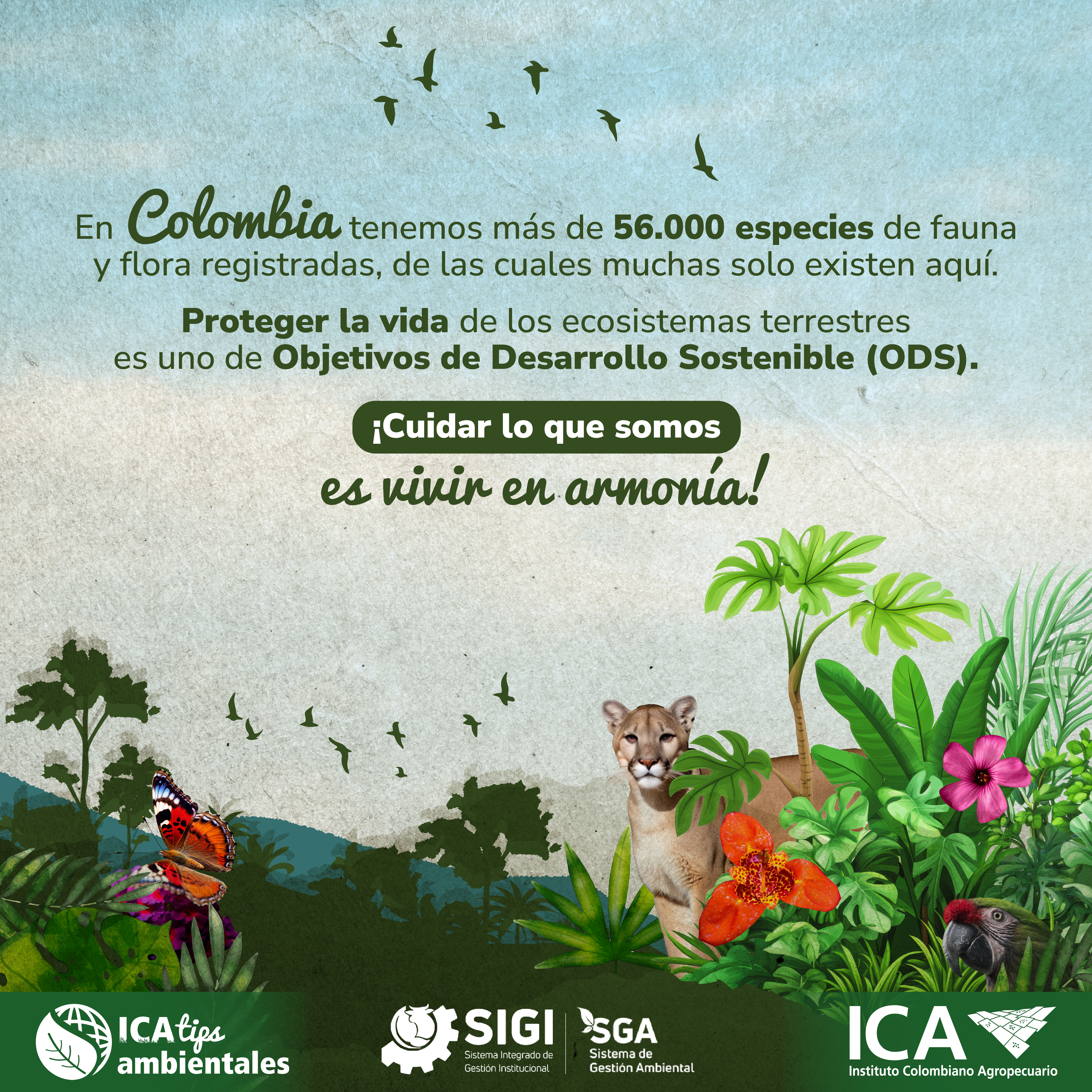 TIPS-AMBIENTALES_Mesa-de-trabajo-1.png