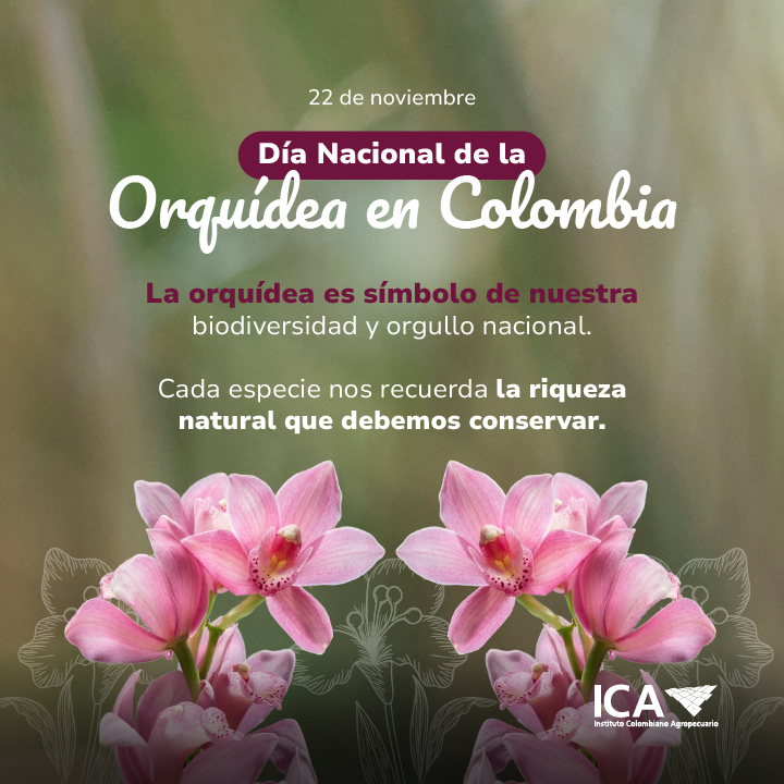 Dia-Nacional-de-la-Orquidea-Interna-1.jpg