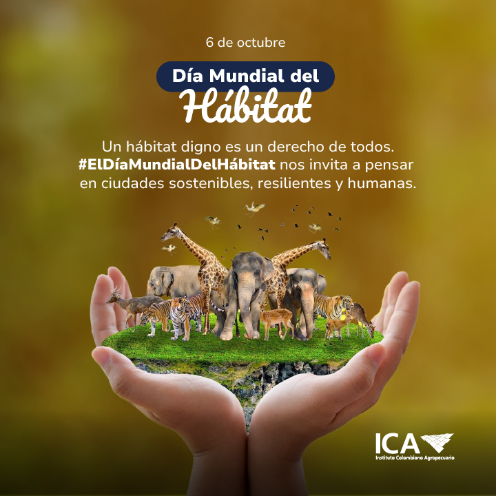 Dia-mundial-del-Habitat.jpg