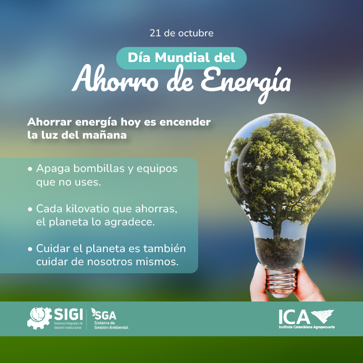 Dia-mundial-del-ahorro-de-Energia-Interna.jpg