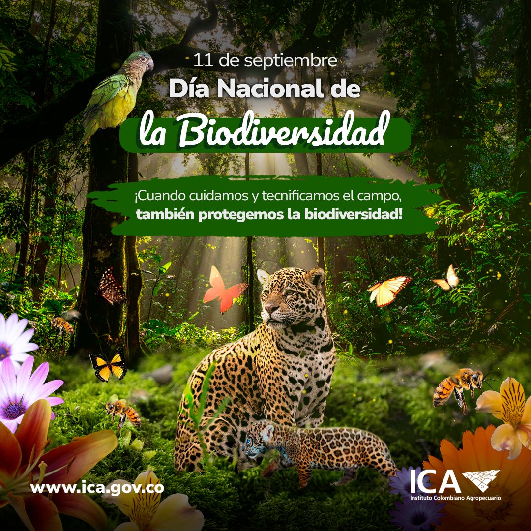 DIA-NACIONAL-DE-LA-BIO.jpeg