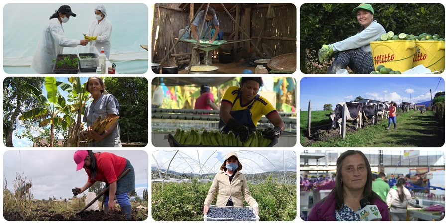 COLLAGE-MUEJR-RURAL.jpg