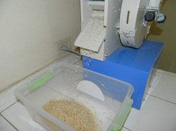 laboratorio-de-semillas-ICA-Cesar-en-Valledupar-9-(2).JPG