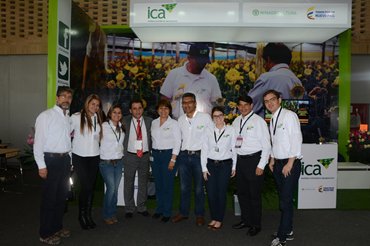 Ica-Trabajo-(1).JPG