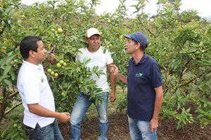Hoya-del-Rio-Suarez-1.JPG Hoya-del-Rio-Suarez-1.JPG