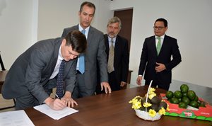 Aguacate-Hass-7.JPG