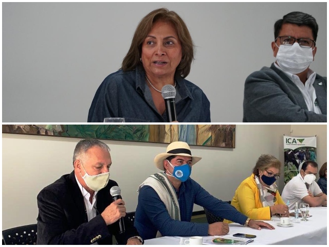 Foto-ICA-HLB-Web-1.jpg