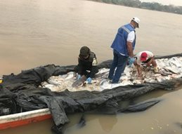 Aguacate, pescado y productos cárnicos de contrabando fueron decomisados por el CIIIP en zona de frontera con Venezuela.