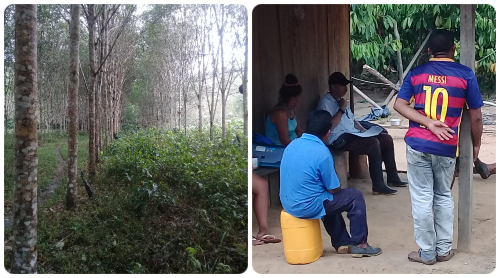 Cultivos agrícolas en zonas indígenas de Guainía fueron inspeccionados por el ICA Cultivos agrícolas en zonas indígenas de Guainía fueron inspeccionados por el ICA