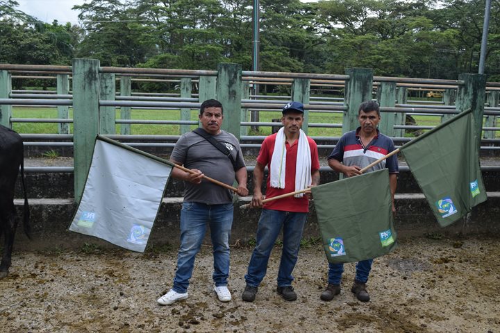 foto-4_1.jpg foto-4_1.jpg