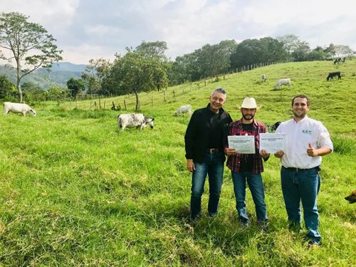 Ganaderos del Huila continúan certificando sus predios como libres de brucelosis y tuberculosis bovina
