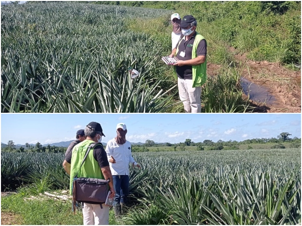 Foto-ICA-Inspeccion-viveros-Bolivar.jpg Foto-ICA-Inspeccion-viveros-Bolivar.jpg
