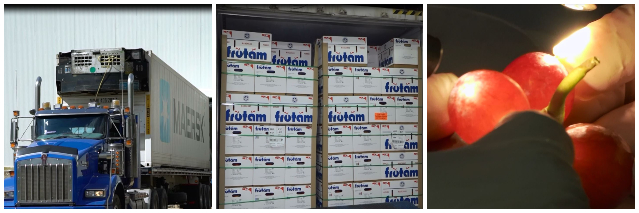 El ICA trabaja en equipo con el INVIMA para la inspección de frutas y vegetales frescos importados