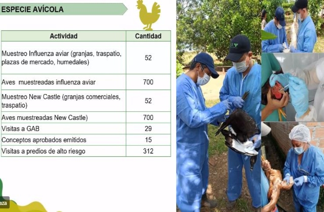 Rendicion-de-cuentas-ICA-Meta.jpg