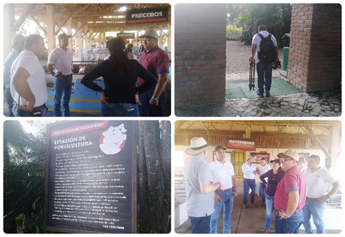 El ICA y PorkColombia realizan acciones de prevención para evitar el ingreso de la peste porcina africana a Colombia El ICA y PorkColombia realizan acciones de prevención para evitar el ingreso de la peste porcina africana a Colombia
