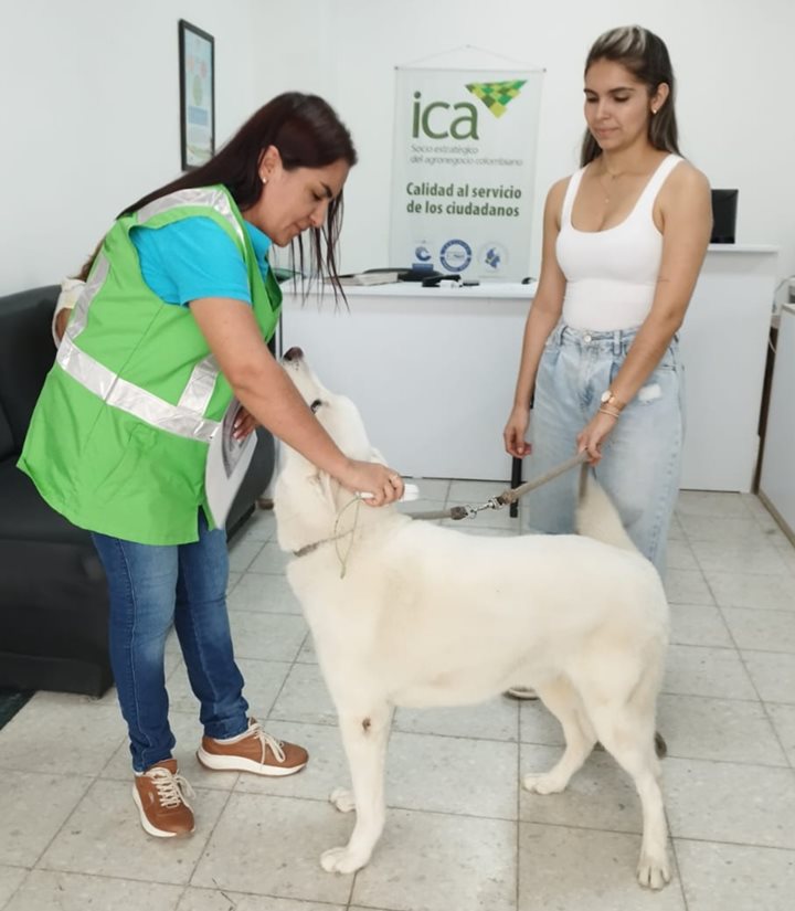 ICA-QUINDIO.jpg