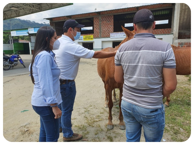 FOTO-ICA-Huila-2.jpg