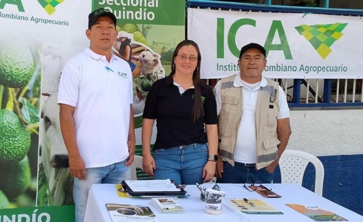 ICA-QUINDIO-2052026.jpeg